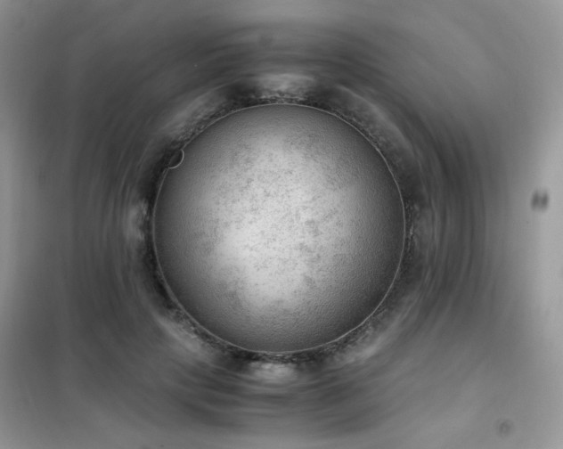 X0000102390649200808011601