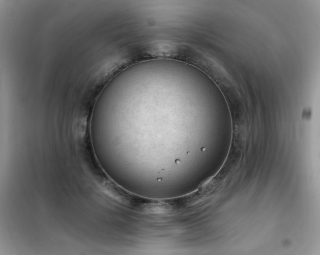 X0000102390652200808011601