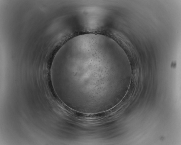 X0000102390653200808011601