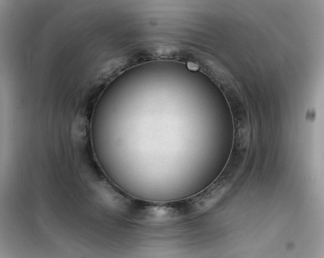 X0000102390654200808011601