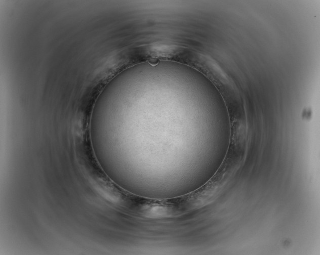 X0000102390655200808011601