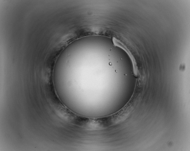 X0000102390656200808011601