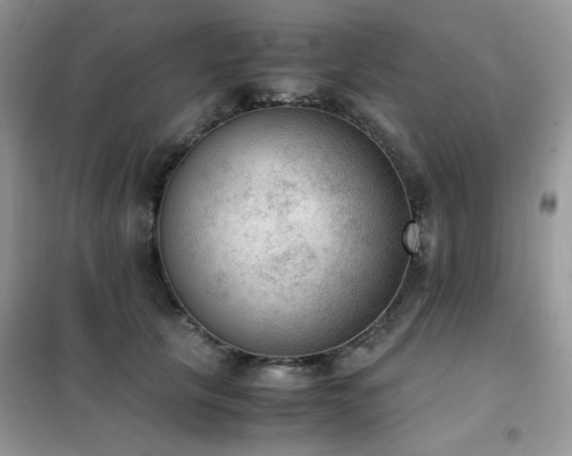 X0000102390657200808011601