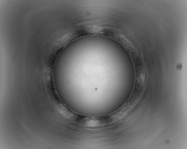 X0000102390658200808011601