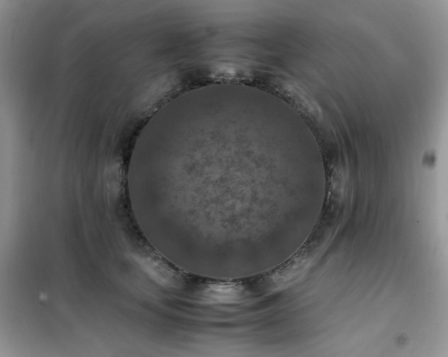 X0000102390659200808011601