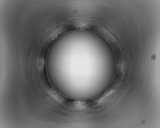 X0000102390660200808011601