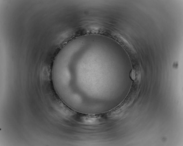 X0000102390661200808011601