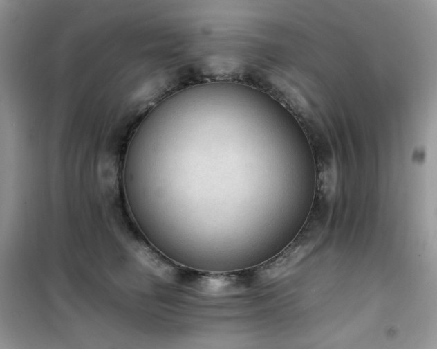 X0000102390662200808011601