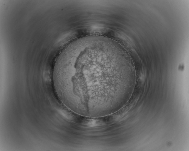 X0000102390663200808011601