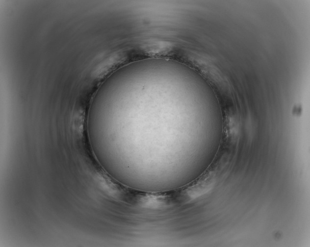 X0000102390664200808011601