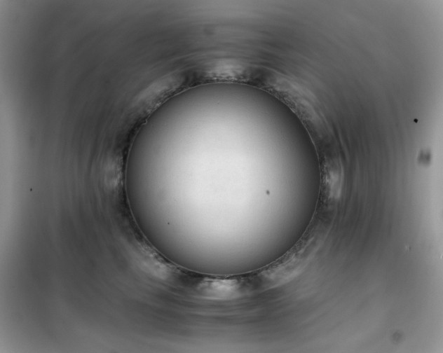 X0000102390665200808011601