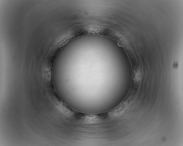 X0000102390666200808011601