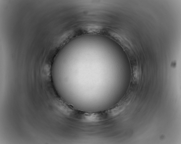 X0000102390667200808011601