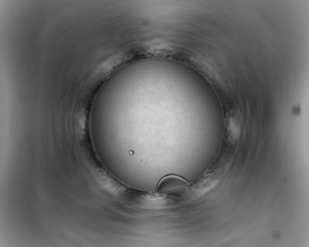 X0000102390668200808011601