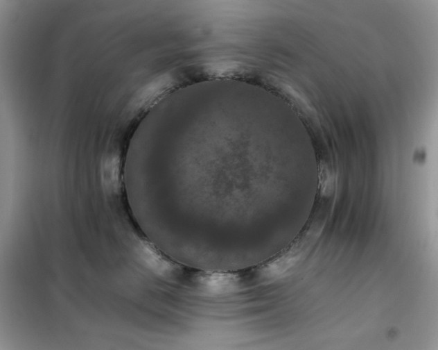 X0000102390670200808011601