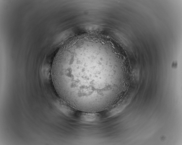 X0000102390671200808011601