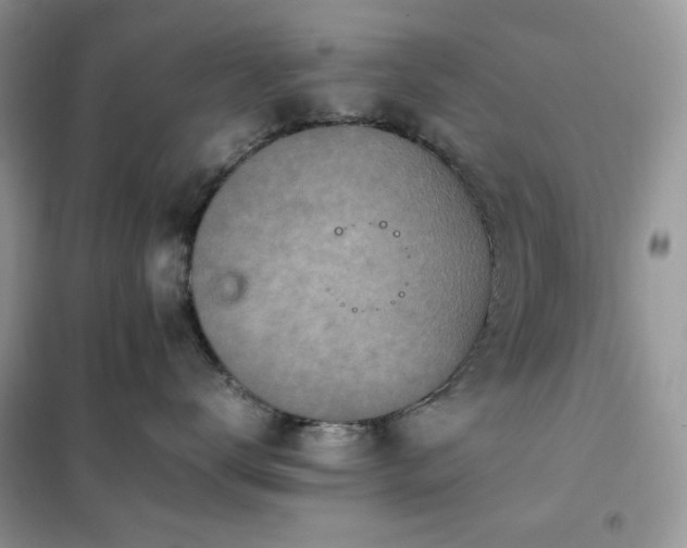 X0000102390672200808011601