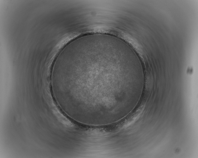 X0000102390673200808011601