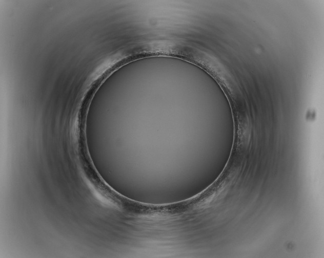 X0000102390674200808011601