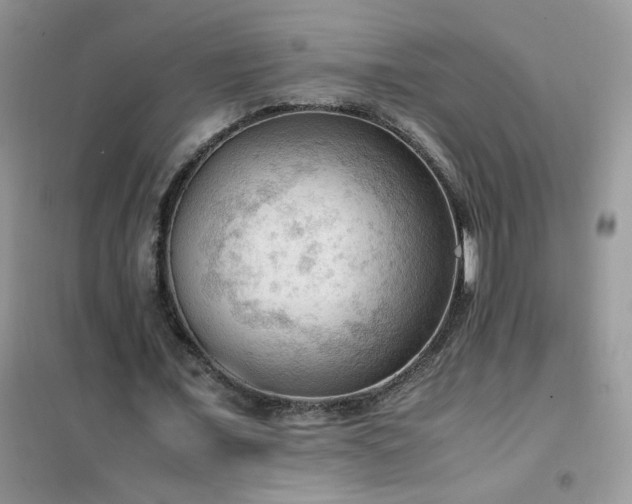 X0000102390675200808011601