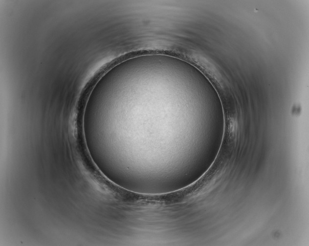 X0000102390676200808011601