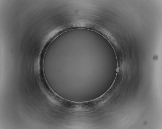 X0000102390678200808011601