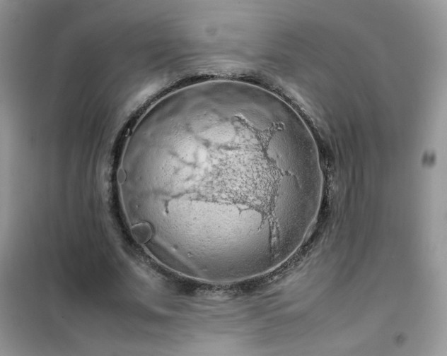 X0000102390679200808011601