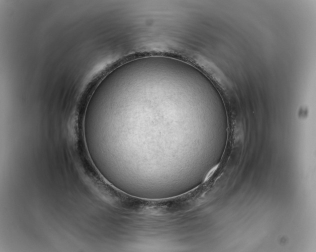 X0000102390680200808011601