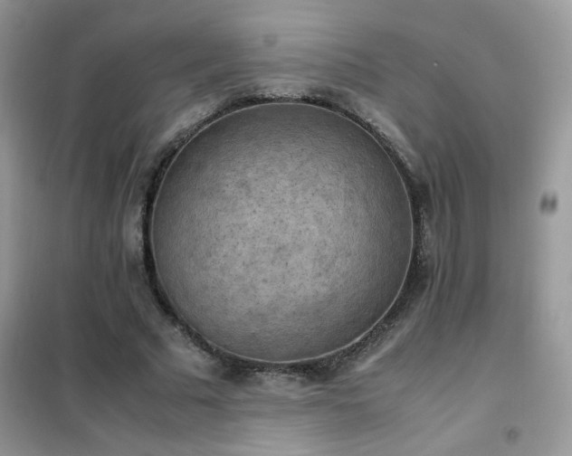 X0000102390681200808011601