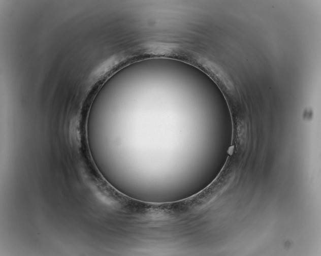 X0000102390682200808011600