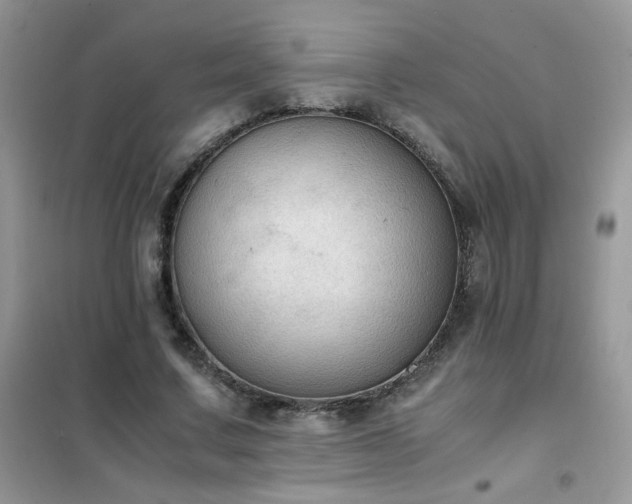 X0000102390683200808011600