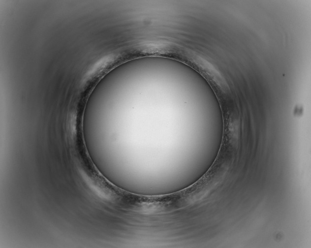 X0000102390686200808011600