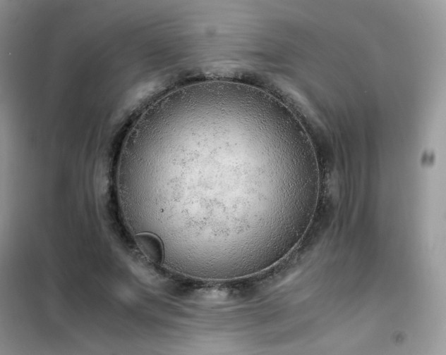 X0000102390687200808011600