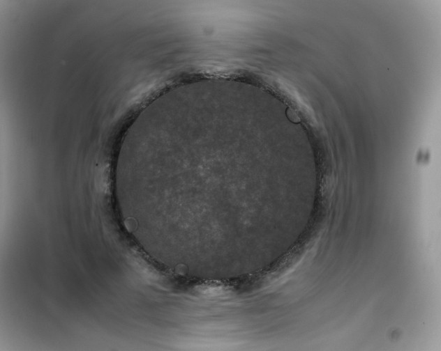 X0000102390689200808011600