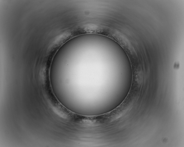 X0000102390690200808011600