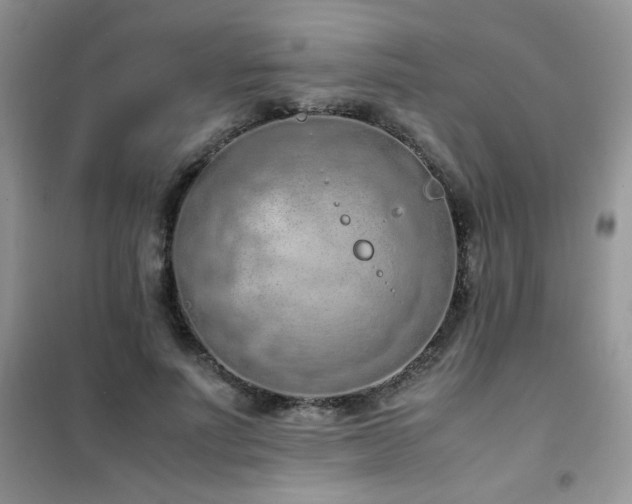 X0000102390691200808011600