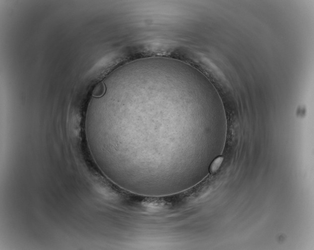 X0000102390693200808011600