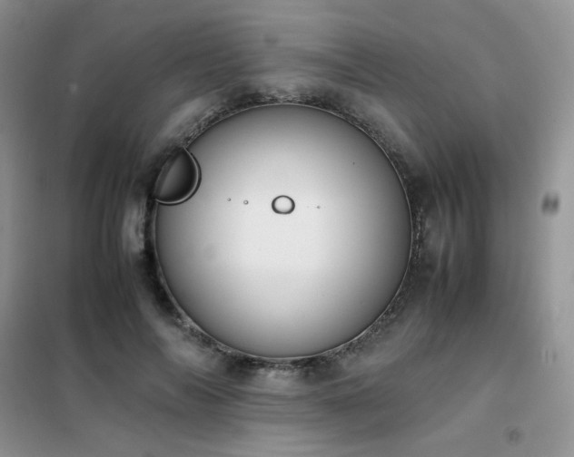 X0000102390694200808011600