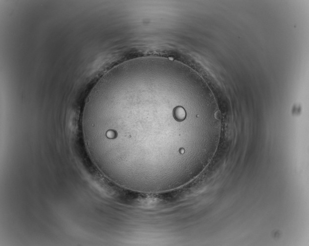 X0000102390695200808011600