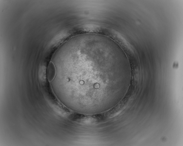 X0000102390696200808011600