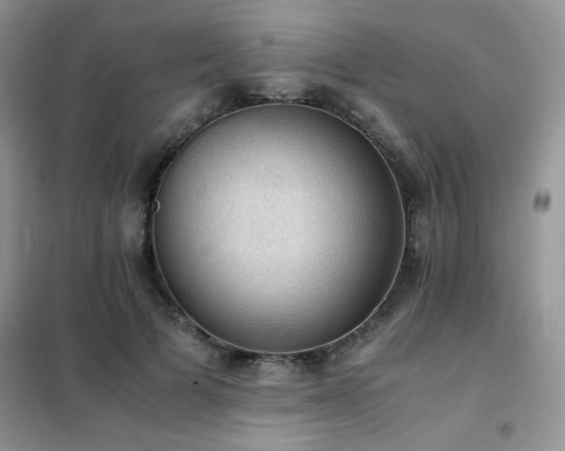 X0000102390697200808011600