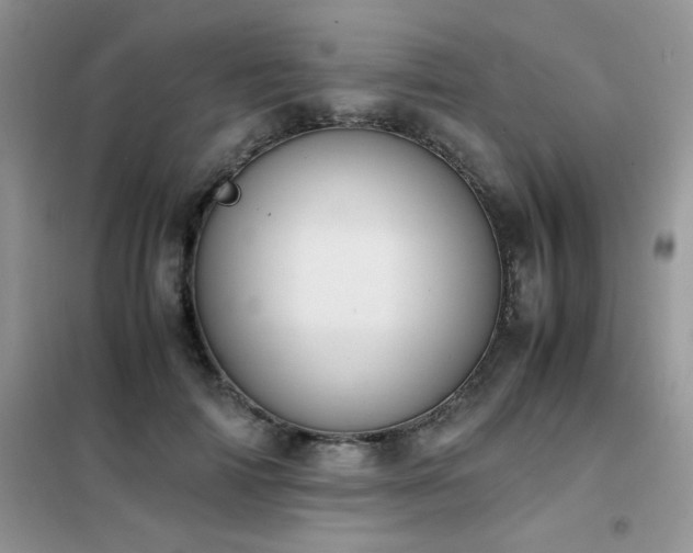 X0000102390698200808011600