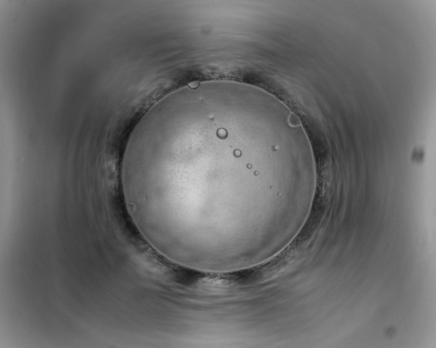 X0000102390699200808011600