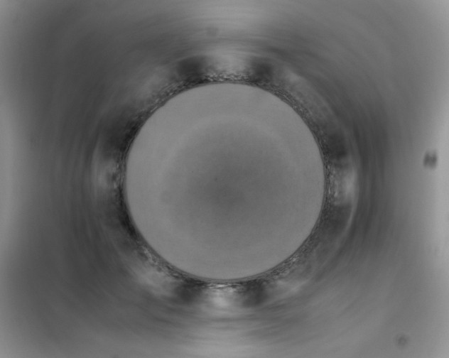 X0000102390701200808011600