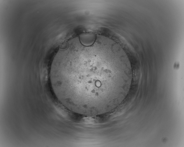 X0000102390703200808011600