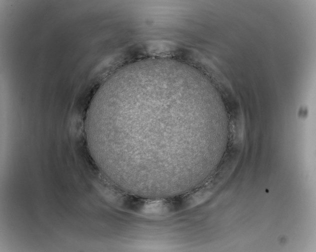 X0000102390705200808011600