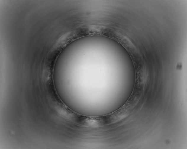 X0000102390706200808011600