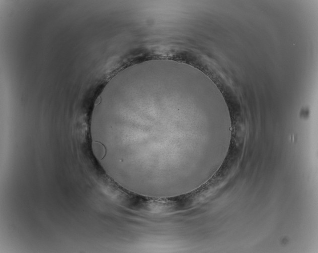 X0000102390707200808011600