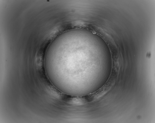 X0000102390708200808011600