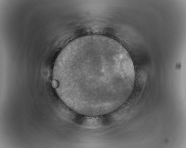 X0000102390709200808011600